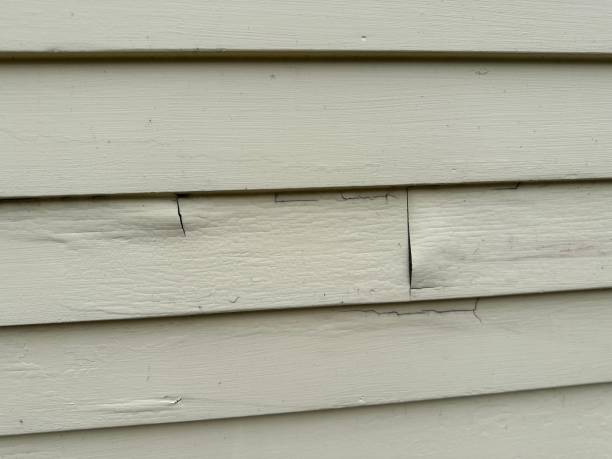Best Property Management Cleanouts  in Scow Mills, MO